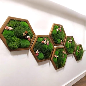Honeycomb Moss Wall Art –  Preserved Moss & Dried Flowers  – Eco-Friendly Botanical Gift
