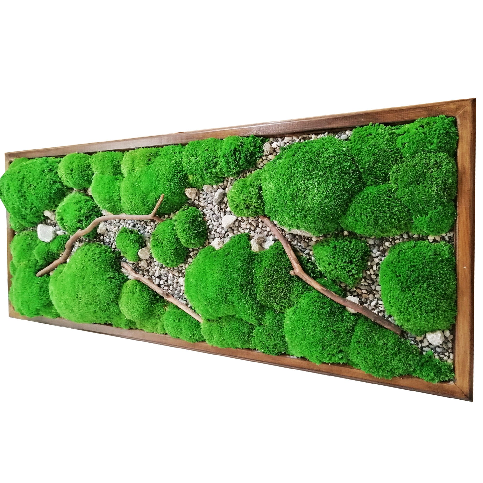 DIY Moss Art – Home Sweet Homes