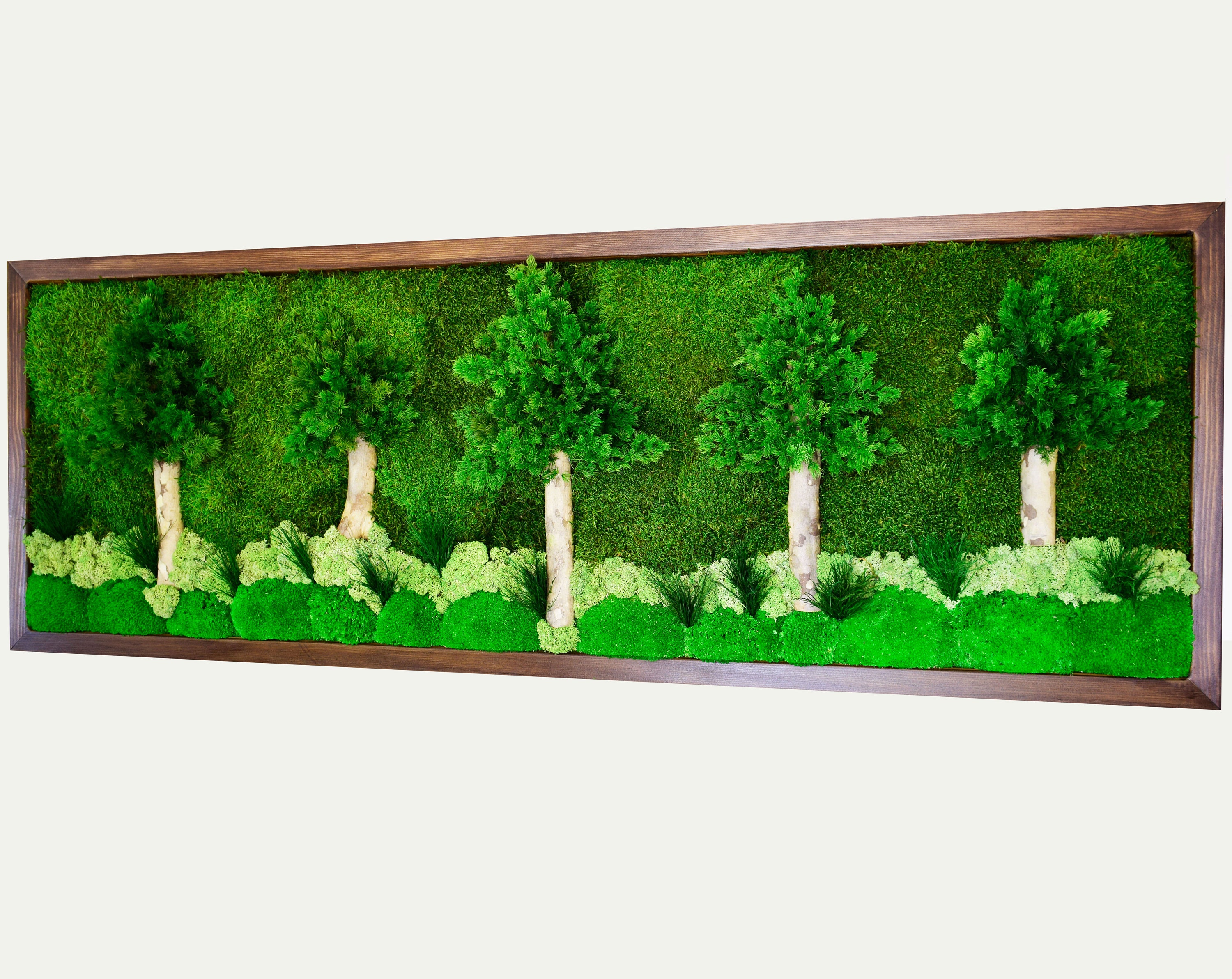 Moss Wall Art Moss Wall Decor Moss Art Framed Moss Art Wall Etsy