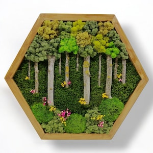 Decorazione murale in muschio esagonale a nido d&#39;ape – Scena di foresta con rami naturali