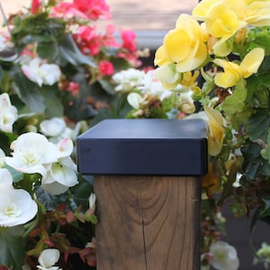 May include: A black square post cap sits atop a wooden post. The post is surrounded by white and yellow flowers.