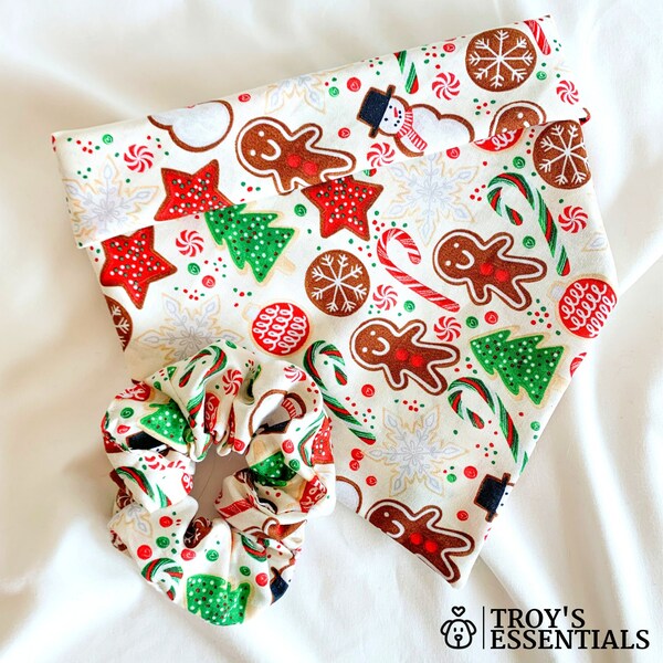 Gingerbread Candy Cane Holder Pattern Etsy