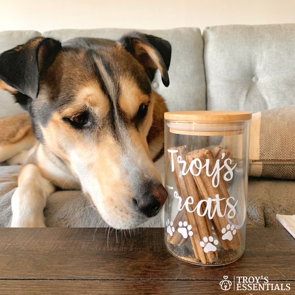 Personalized Dog Treat Jar | Dog MOM Gift | Customized Treat Jar | Cat Treat Jar| Treat Container | Pet Treat Jar | Treat Storage | Summer