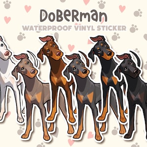 May include: Five Doberman Pinscher dog breed stickers in different colors. The stickers are cartoon illustrations of the dogs in a playful pose. The stickers are waterproof vinyl.