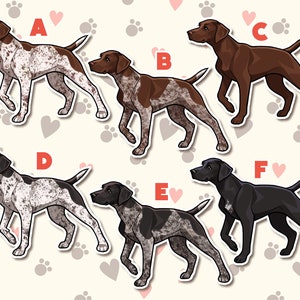 Op de afbeelding: Zes verschillende illustraties van Duitse Kortharige Wijzers in verschillende poses. De honden zijn afgebeeld in zwart, bruin en wit.