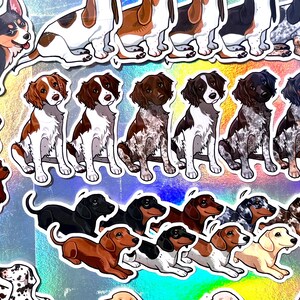 May include: A collection of colorful dog breed stickers featuring various breeds, including a corgi, dachshund, Brittany spaniel, and a few others. The stickers are on a holographic background.