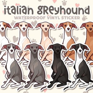 Dog Sticker | Italian Greyhound Iggy | Waterproof, Vinyl, Pet Lover Dog Breed Gift