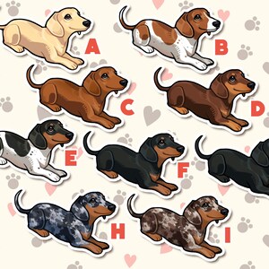 May include: Nine different dachshund dog stickers with various color patterns. The stickers are arranged in a grid pattern with letters A through I labeling each sticker.
