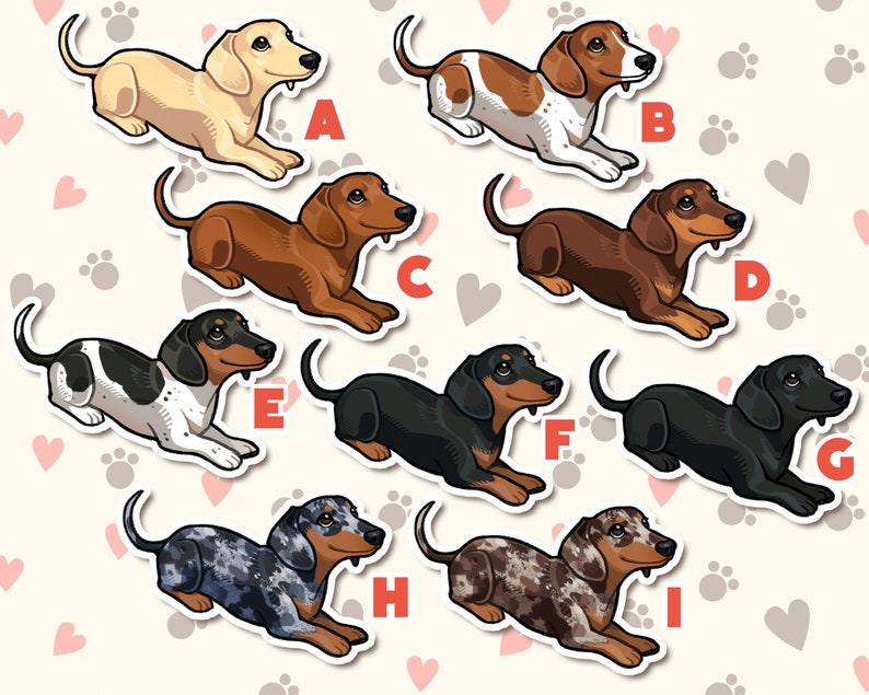 May include: Nine different dachshund dog stickers with various color patterns. The stickers are arranged in a grid pattern with letters A through I labeling each sticker.