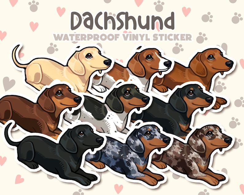 May include: A set of nine dachshund dog stickers in various colors and patterns. The stickers are waterproof and made of vinyl. The text "Dachshund Waterproof Vinyl Sticker" is at the top of the image.