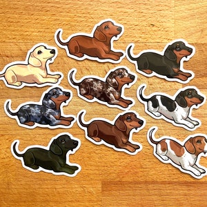 May include: Eight dachshund dog stickers with different colored fur and patterns. The stickers are on a wooden surface.