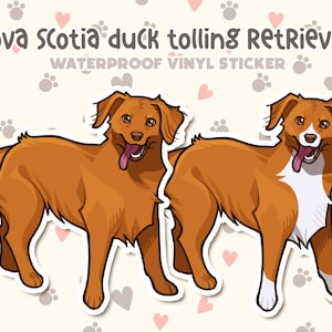 Dog Sticker | Nova Scotia Duck Tolling Retriever | Waterproof, Vinyl, Pet Lover Dog Breed Gift