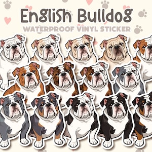 May include: A set of 12 English Bulldog stickers. The stickers are waterproof and made of vinyl. Each sticker features a different color variation of the bulldog breed, including white, brown, black, and blue.