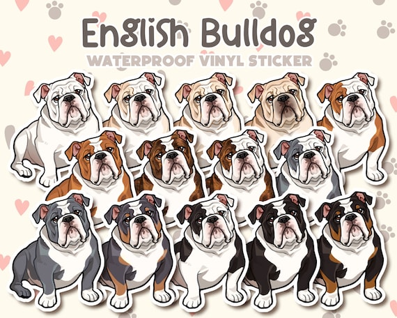 Dog Sticker | English Bulldog Sticker | Waterproof, Vinyl, Pet Lover Dog Breed Gift