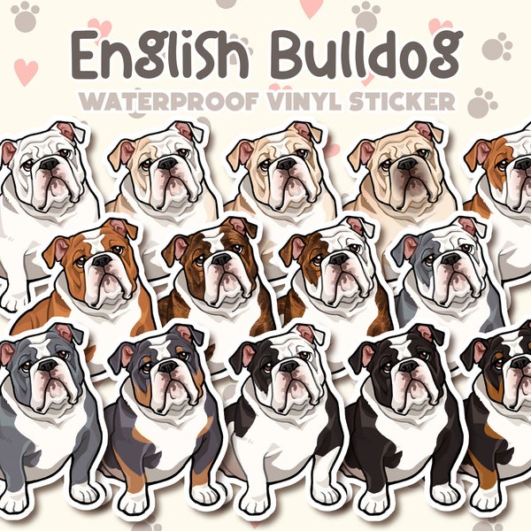 Dog Sticker | English Bulldog Sticker | Waterproof, Vinyl, Pet Lover Dog Breed Gift