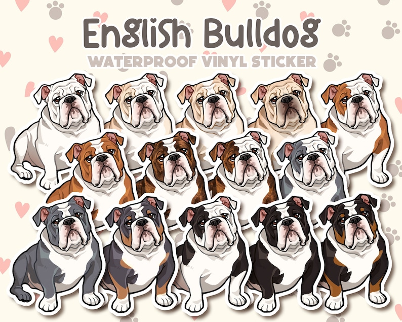 May include: A set of 12 English Bulldog stickers. The stickers are waterproof and made of vinyl. Each sticker features a different color variation of the bulldog breed, including white, brown, black, and blue.