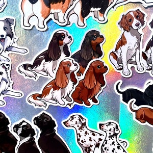 May include: A collection of colorful dog breed stickers featuring various breeds, including Cavalier King Charles Spaniels, Border Collies, Dachshunds, and Dalmatians. The stickers are printed on a shiny, iridescent background.