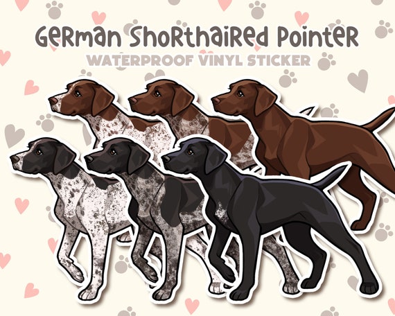 Dog Sticker | German Shorthair Pointer Sticker | Waterproof, Vinyl, Pet Lover Dog Breed Gift