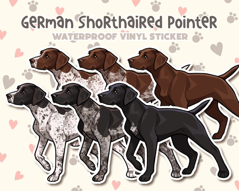 Op de afbeelding: Vier stickers met de hondenras Duitse Korthaar. De stickers zijn van waterdicht vinyl en tonen honden in verschillende kleuren met bruine, zwarte en witte markeringen. De tekst "Duitse Korthaar" en "Waterdichte vinyl sticker" staat bovenaan de afbeelding.