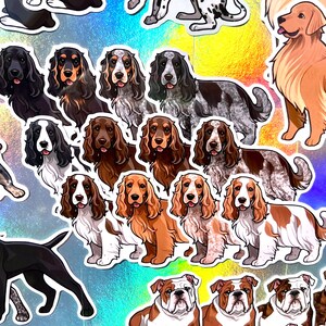Puede incluir: Una colecci&oacute;n de pegatinas de razas de perros coloridas que representan diferentes razas, incluyendo un golden retriever, bulldogs y spaniels. Las pegatinas est&aacute;n impresas sobre un fondo brillante e iridiscente.