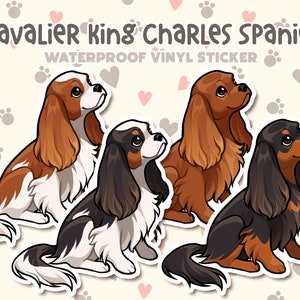May include: Three Cavalier King Charles Spaniel dog stickers. The stickers are waterproof vinyl and feature a cartoon illustration of the dogs in different colors: brown and white, black and white, and black and tan.