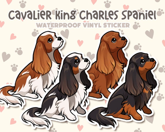 Dog Sticker | Cavalier King Charles Spaniel Sticker | Waterproof, Vinyl, Pet Lover Dog Breed Gift