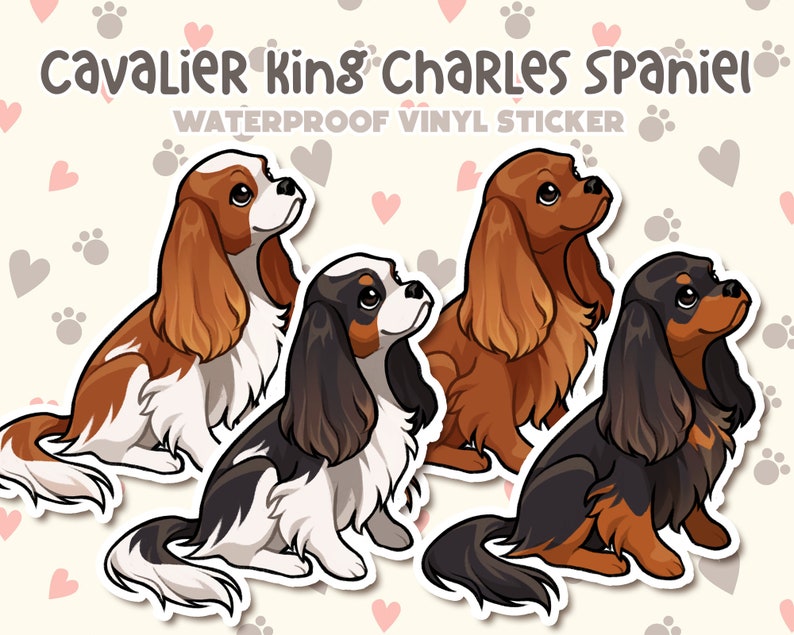 May include: Three Cavalier King Charles Spaniel dog stickers. The stickers are waterproof vinyl and feature a cartoon illustration of the dogs in different colors: brown and white, black and white, and black and tan.