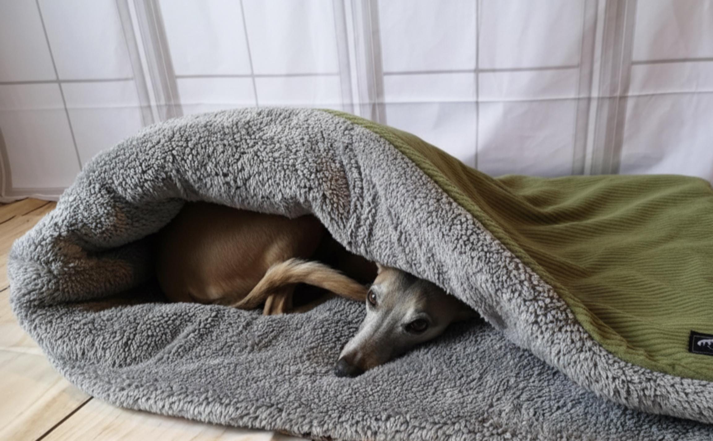 trockenfutter ohne getreide NutriQM Hund Twice Nice Senior – Trockenfutter getreidefrei – zoo.de