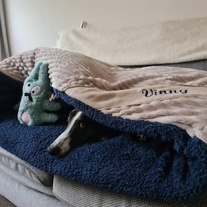 May include: A black and white dog peeks out from under a tan and blue blanket with the name "Vinny" embroidered on it. A blue plush toy is also visible under the blanket.