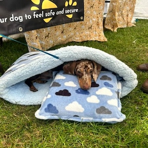 May include: A brown and white dachshund dog is lying in a blue and white dog bed with a cloud pattern. The dog bed is on a green grassy surface. The text "Our dog to feel safe and secure" is visible on a black sign above the dog bed.