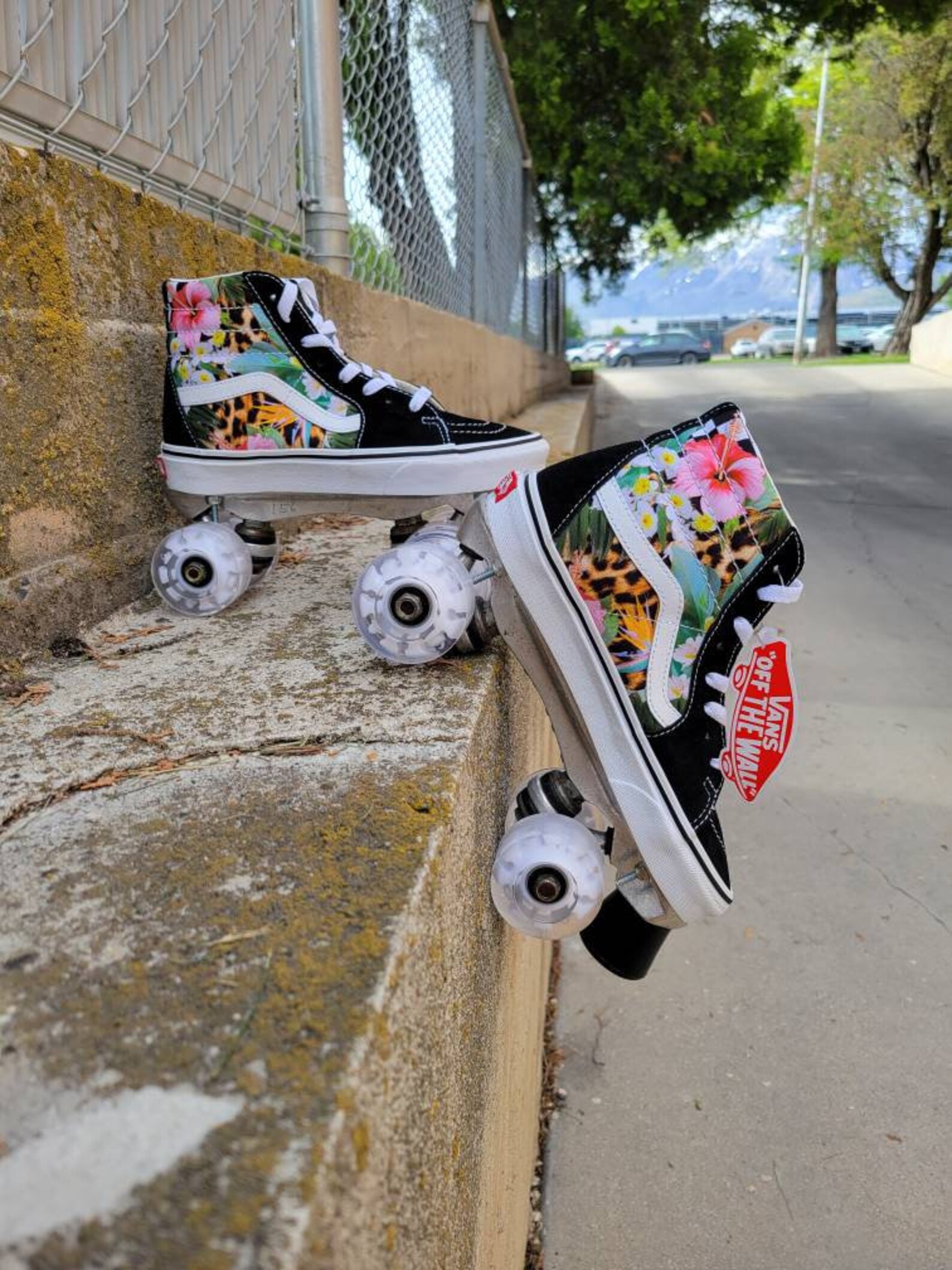 Custom Roller Skates Etsy