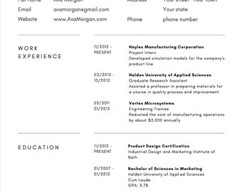 Professional Resume Template