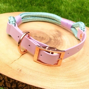 Biothane und Paracord Halsband & Blei