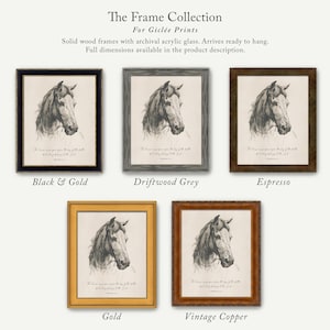 The image is a collection of five framed prints, each with a different color and frame style, showcasing the variety of options available for purchasing or displaying artwork.