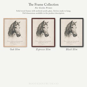 three framed pictures of horses in black and white