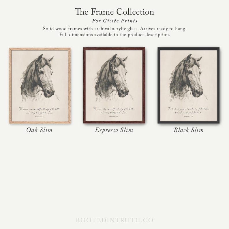 three framed pictures of horses in black and white