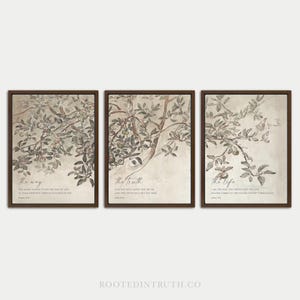 May include: A set of three framed wall art prints featuring botanical illustrations of apple tree branches with fruit. Each print includes script text reading The Way, The Truth, and The Life, along with corresponding Bible verses in a neutral palette.
