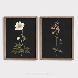 Arte mural botánico vintage con flores imprimibles, negro y melancólico, antiguo, estilo cottage core, oscuro, dibujos antiguos, ejemplar