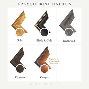 six different frame finishes, each with a unique color and design, arranged in a grid format.