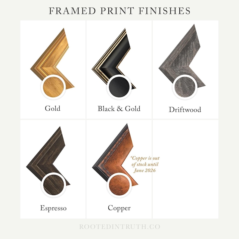 six different frame finishes, each with a unique color and design, arranged in a grid format.