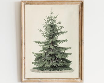 Vintage Fir Christmas Tree, Scripture Wall Art Print, Bible Verse Printable, Christian Prints, Poster, Modern, Digital Download