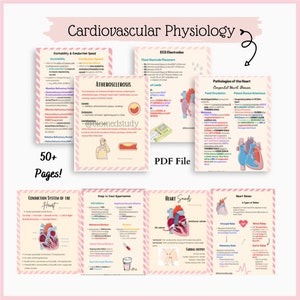 Notas de fisiología cardiovascular / Paquete de notas de anatomía y fisiología del sistema cardiovascular