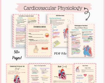Kardiovaskuläre Physiologie Notizen | Anatomie und Physiologie Herz-Kreislauf-System Notizen Bundle