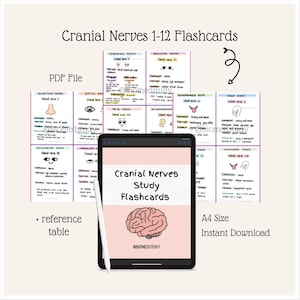 Anatomy and Physiology Cranial Nerve Study Flashcards | Cranial Nerves Study Guide