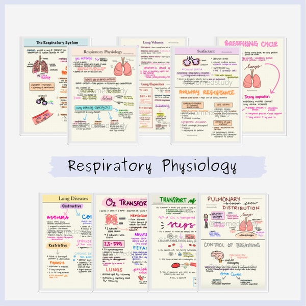 Respiratory Physiology Notes | Anatomy and Physiology Respiratory System Notes Bundle