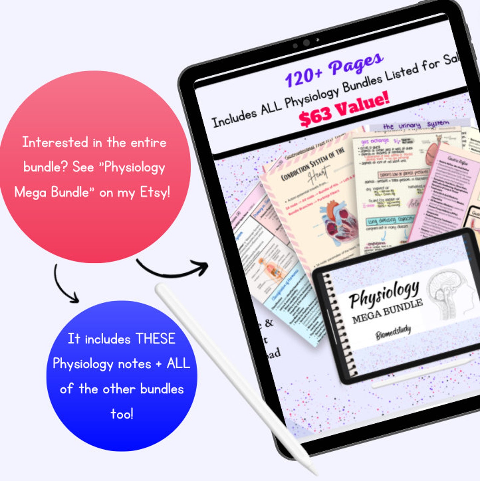 Anatomy and Physiology Action Potential Notes | Phases of an Action ...