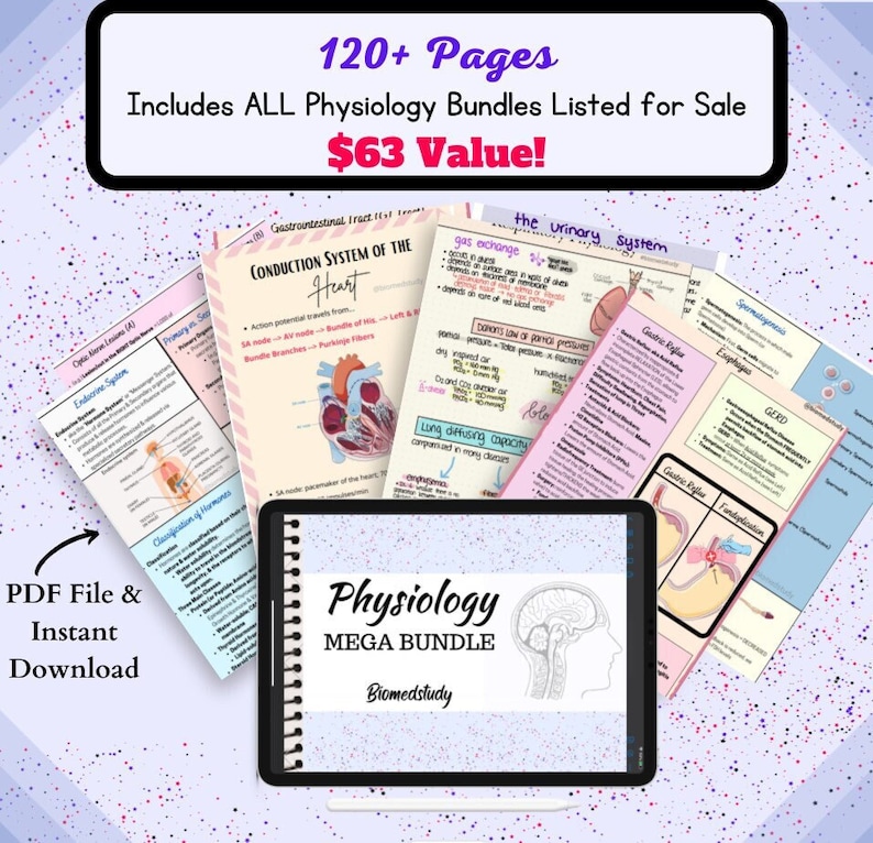Physiology Mega Bundle | Physiology Notes | Anatomy and Physiology - Etsy