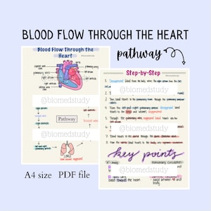 Anatomía y fisiología Ruta de la sangre a través del corazón Notas / Flujo sanguíneo a través del mecanismo del corazón