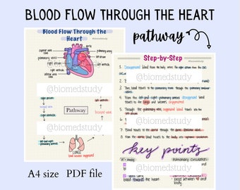 Anatomy and Physiology Pathway of Blood Through the Heart Notes | Blood Flow Through the Heart Mechanism