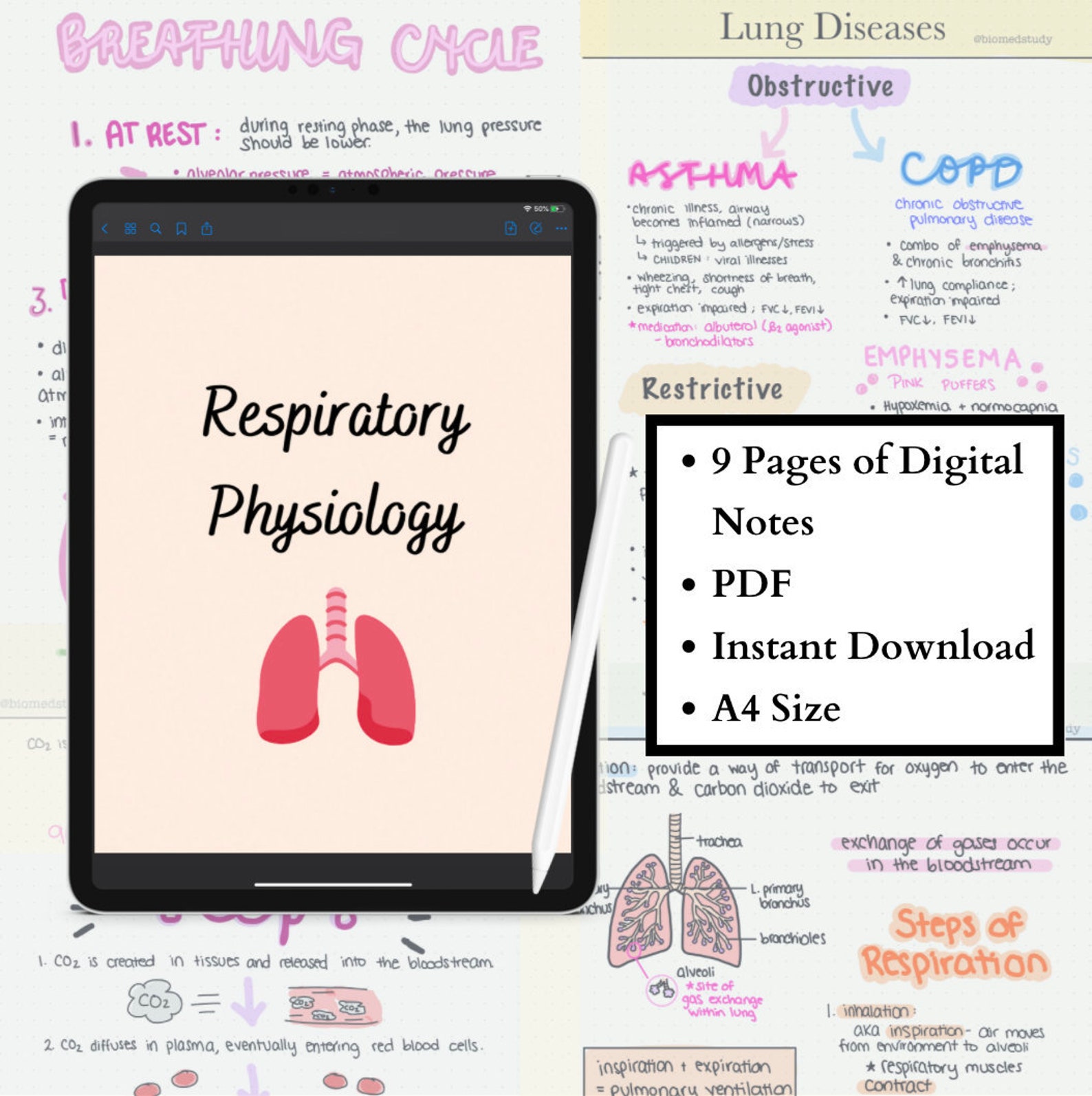 Respiratory system visual data 7